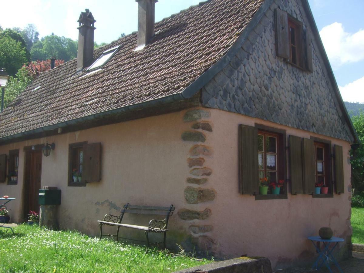 La Pouponiere Villa Sainte-Marie-aux-Mines Ngoại thất bức ảnh